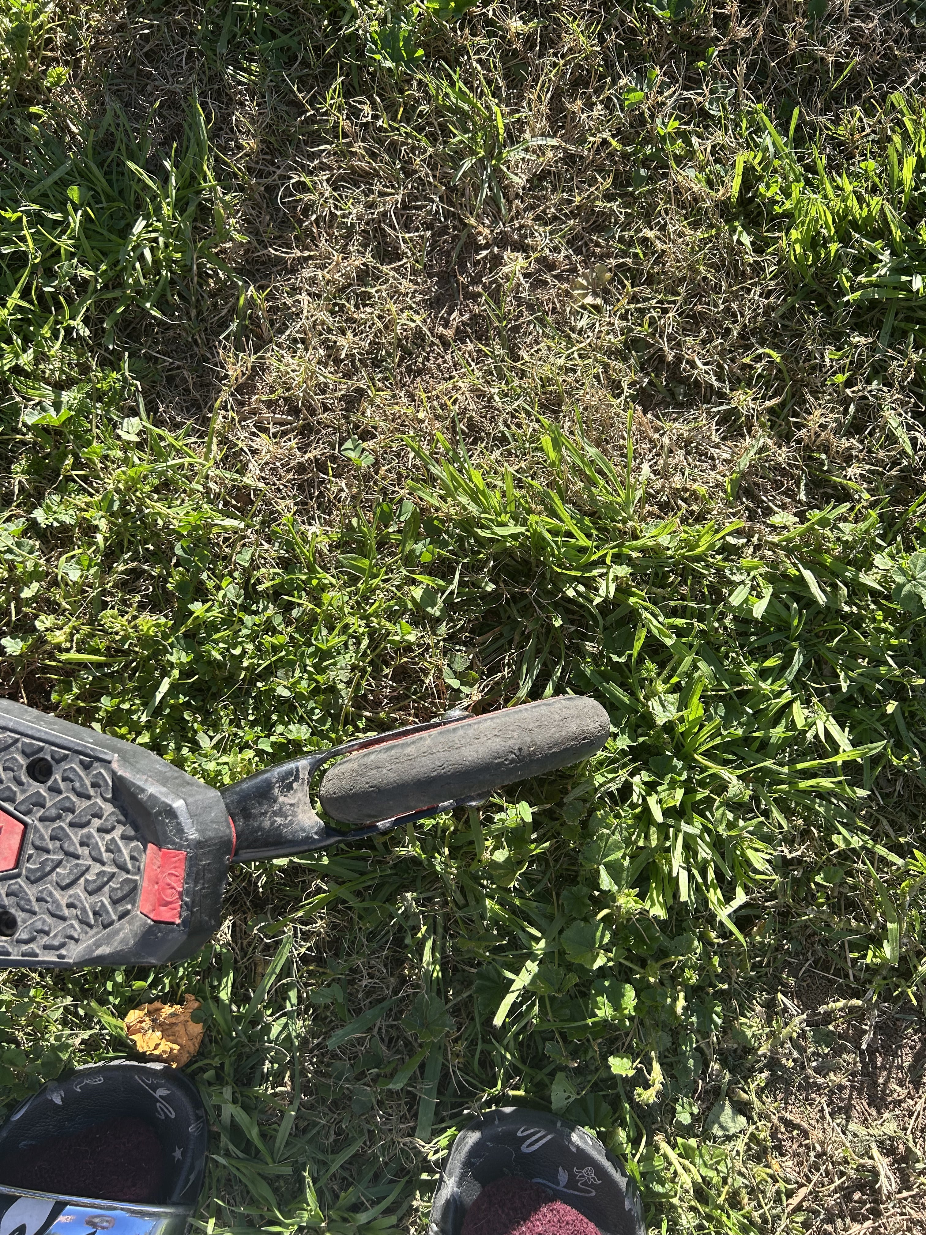 The Yvolution Y Fliker Sport (SP) series